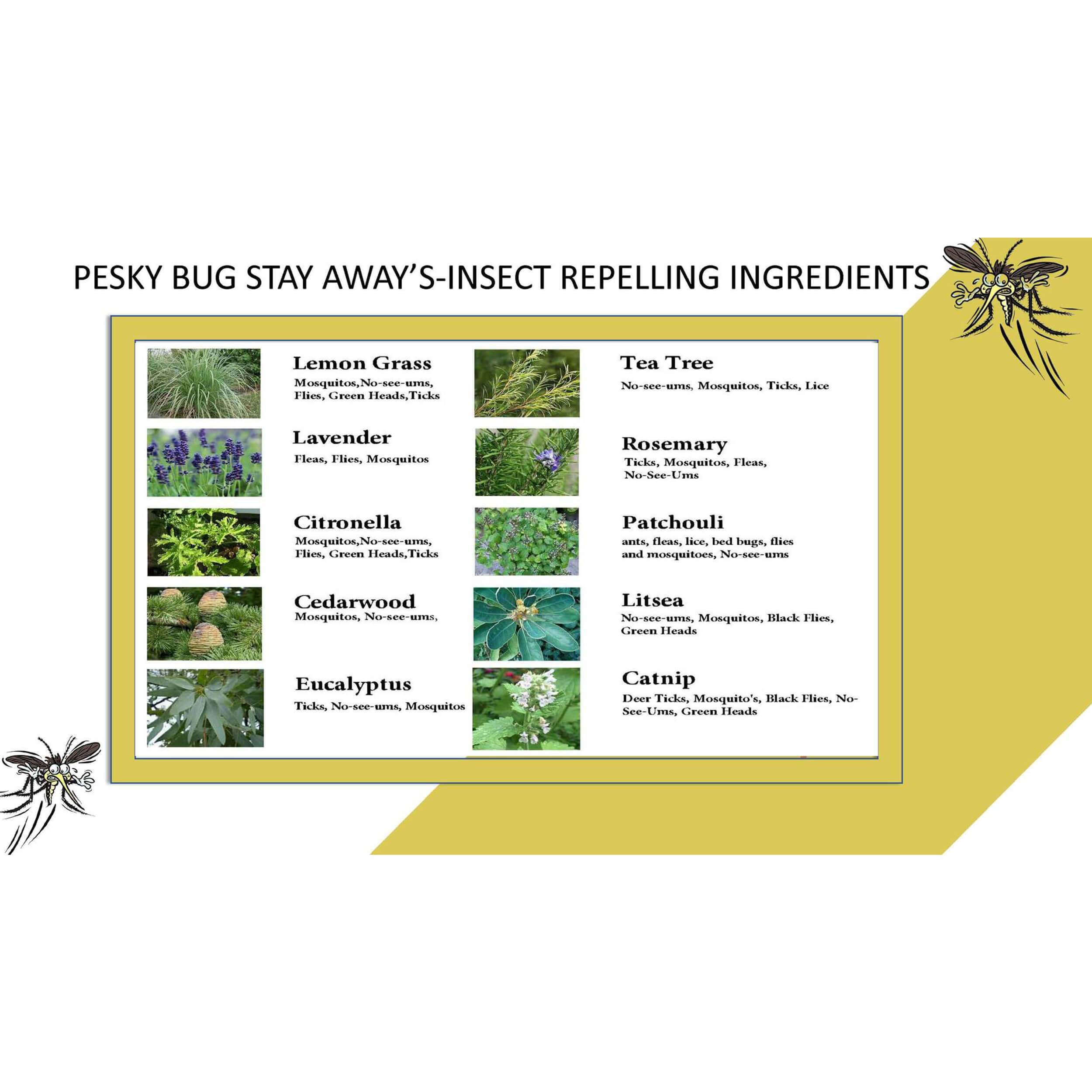 PESKY® Bug Away - All In One Outdoor Skin Solution with Skin Protecting Non-Nano Zinc Oxide